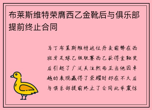 布莱斯维特荣膺西乙金靴后与俱乐部提前终止合同